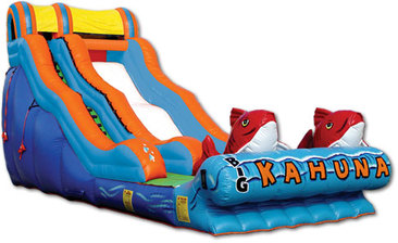 Big Kahuna Inflatable Wateslide in McDonough, GA